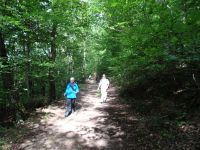 Altenahrer_Eck005 Altenahrer_Eck005