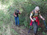 Altenahrer_Eck007 Altenahrer_Eck007