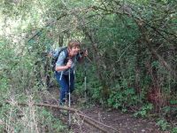 Altenahrer_Eck008 Altenahrer_Eck008