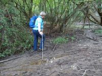 Altenahrer_Eck010 Altenahrer_Eck010