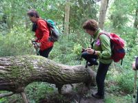 Altenahrer_Eck012 Altenahrer_Eck012