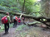 Altenahrer_Eck013 Altenahrer_Eck013