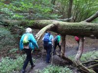 Altenahrer_Eck014 Altenahrer_Eck014