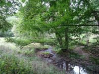 Altenahrer_Eck015 Altenahrer_Eck015