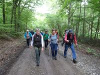 Altenahrer_Eck016 Altenahrer_Eck016