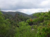 Altenahrer_Eck023 Altenahrer_Eck023