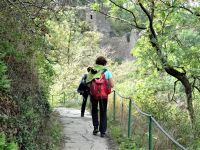 Altenahrer_Eck029 Altenahrer_Eck029