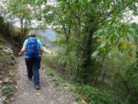 Altenahrer_Eck047 Altenahrer_Eck047