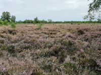 01_1599639098255 01_1599639098255