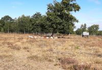 04_20200909_104048 04_20200909_104048