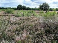 07_1599645236486 07_1599645236486