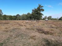 08_20200909_104109 08_20200909_104109