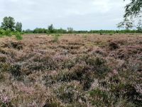 10_1599639093379 10_1599639093379