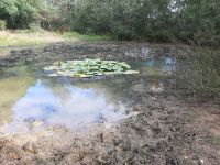 11_1599640444732 11_1599640444732