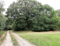 12_1599651197248 12_1599651197248