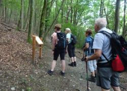 Schöpfungspfad004 Schöpfungspfad004