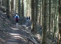 Schöpfungspfad005 Schöpfungspfad005