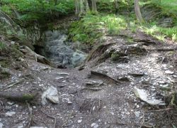 Schöpfungspfad007 Schöpfungspfad007