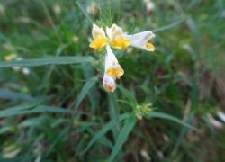 Schöpfungspfad008 Schöpfungspfad008