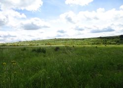 Schöpfungspfad011 Schöpfungspfad011