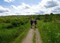 Schöpfungspfad012 Schöpfungspfad012