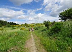 Schöpfungspfad013 Schöpfungspfad013