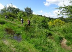 Schöpfungspfad014 Schöpfungspfad014