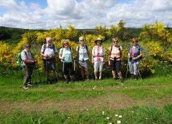 Schöpfungspfad015 Schöpfungspfad015