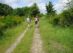 Schöpfungspfad016 Schöpfungspfad016