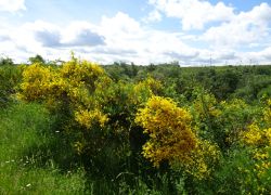 Schöpfungspfad017 Schöpfungspfad017