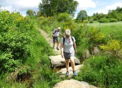 Schöpfungspfad018 Schöpfungspfad018