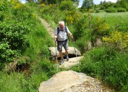 Schöpfungspfad019 Schöpfungspfad019