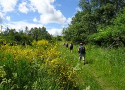 Schöpfungspfad020 Schöpfungspfad020