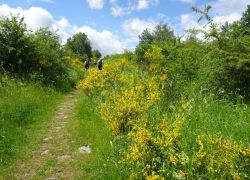 Schöpfungspfad021 Schöpfungspfad021