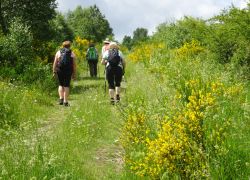 Schöpfungspfad022 Schöpfungspfad022