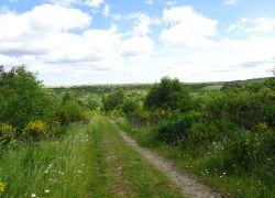 Schöpfungspfad023 Schöpfungspfad023