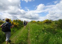 Schöpfungspfad024 Schöpfungspfad024