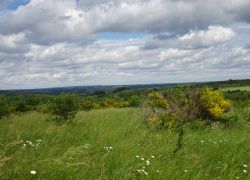 Schöpfungspfad026 Schöpfungspfad026