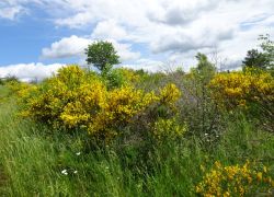 Schöpfungspfad027 Schöpfungspfad027