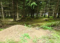 Schöpfungspfad028 Schöpfungspfad028