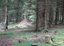 Schöpfungspfad029 Schöpfungspfad029