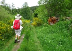 Schöpfungspfad037 Schöpfungspfad037