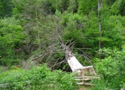 Schöpfungspfad038 Schöpfungspfad038