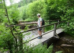 Schöpfungspfad040 Schöpfungspfad040