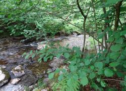 Schöpfungspfad041 Schöpfungspfad041