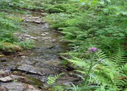 Schöpfungspfad042 Schöpfungspfad042