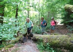 Schöpfungspfad045 Schöpfungspfad045